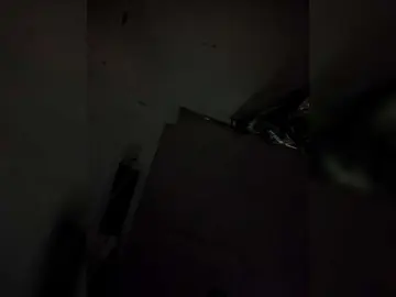 Candicelovee  live sex cam