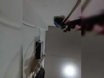 Candicelovee  live sex cam
