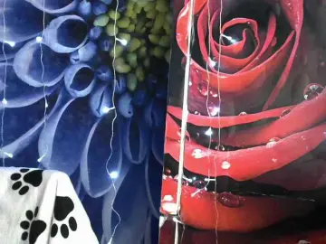 Lilijjjjjjjjjjjjjjjjj90  live sex cam