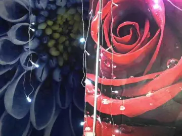 Lilijjjjjjjjjjjjjjjjj90  live sex cam