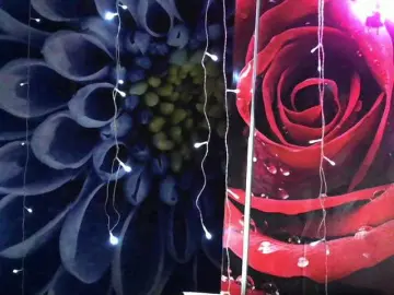 Lilijjjjjjjjjjjjjjjjj90  live sex cam