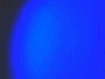 Lovelyshantal  live sex cam