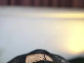 KarsynJayde  live sex cam