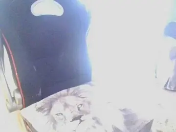 Kitty21  live sex cam