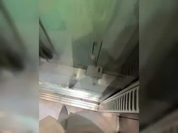 EvaRoughe  live sex cam