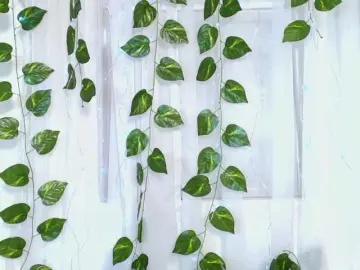 Lucia-sweeet  live sex cam