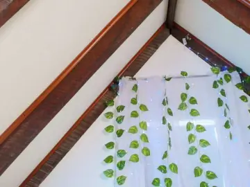 Lucia-sweeet  live sex cam