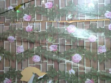 HasMinah92  live sex cam