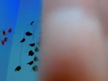 Sabrinaolsons  live sex cam