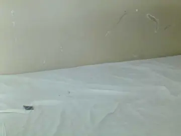 Spicedpussy  live sex cam
