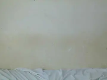 Spicedpussy  live sex cam