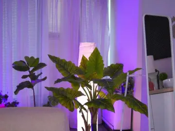 ArabianRose  live sex cam