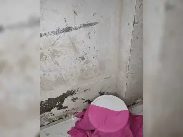 Tunnidelhi  live sex cam
