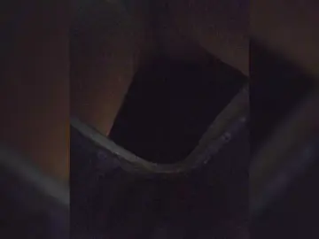 EditaMilf  live sex cam