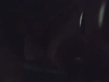 EditaMilf  live sex cam