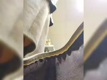 EditaMilf  live sex cam