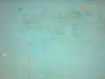 Sandii  live sex cam