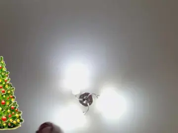 Fox-Lisa  live sex cam