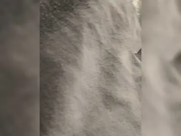 Bunnygreen  live sex cam