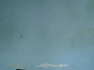 SheilaSexy19  live sex cam