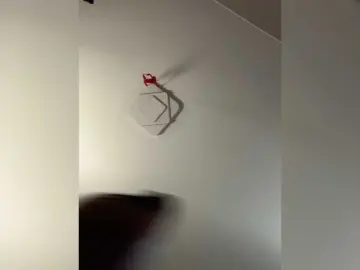 LadyEmily  live sex cam