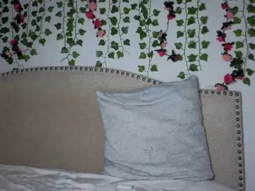 Xoxcat  live sex cam