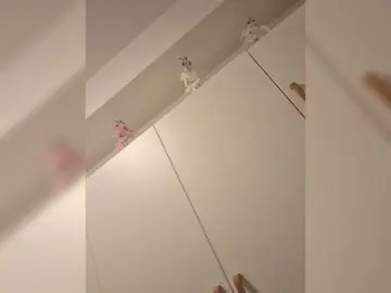 Carolina97  live sex cam