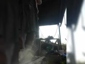 -Fiona88-  live sex cam