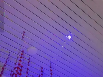 Fallon-1  live sex cam