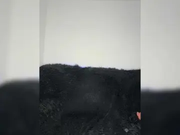 BABYam  live sex cam