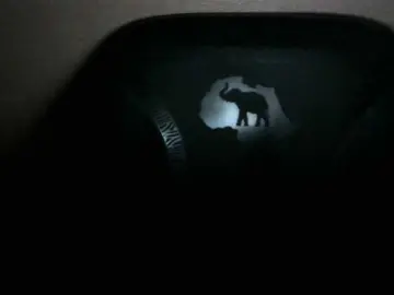 SinfulBitch01  live sex cam