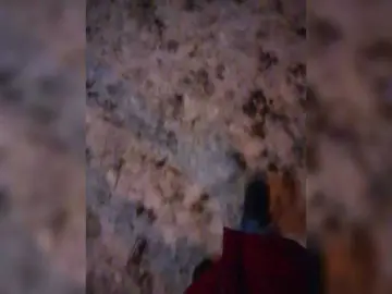 StacyMilk  live sex cam