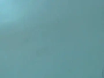 Milytylor  live sex cam