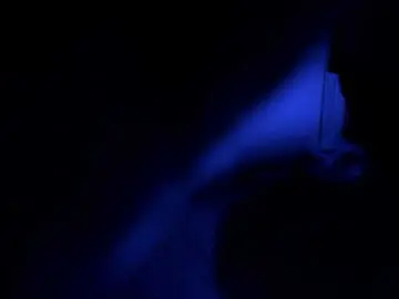 RobinLili  live sex cam