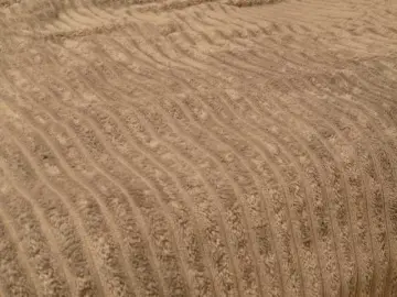 Starfeet  live sex cam