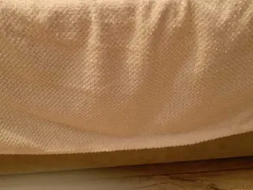 Starfeet  live sex cam