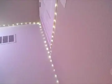 PrincessXOXO  live sex cam