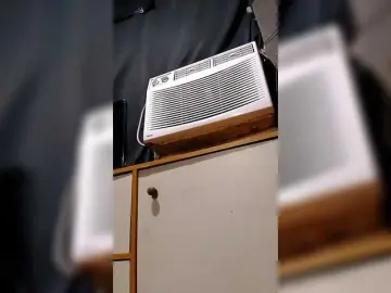 Candyshane  live sex cam