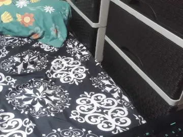 Candyshane  live sex cam