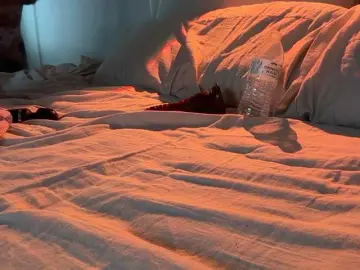 Lexii77  live sex cam