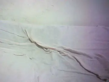 Hairy-ebony-couple  live sex cam