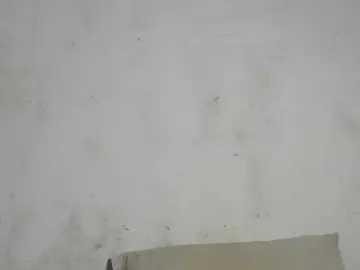 Realshy-Stepsis  live sex cam