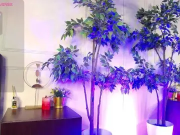 RavenFoxy  live sex cam