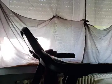 Wetgerman2  live sex cam
