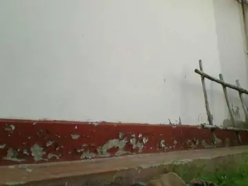 Dizzydose1  live sex cam