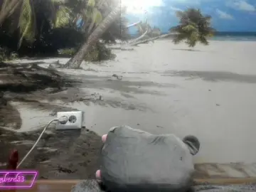 Kimberd33  live sex cam