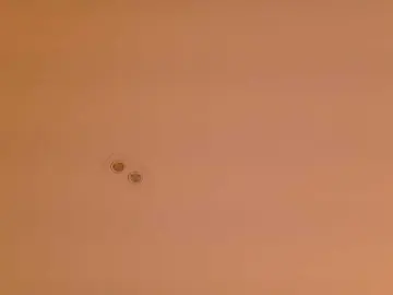 ShanellMoore  live sex cam