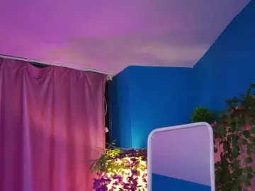 ElyssawetXX  live sex cam