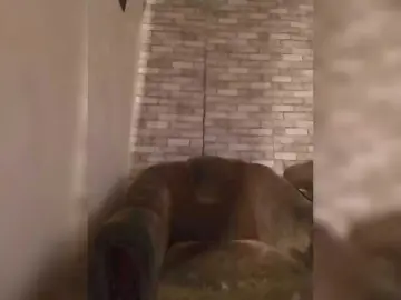 CerdAyaz  live sex cam