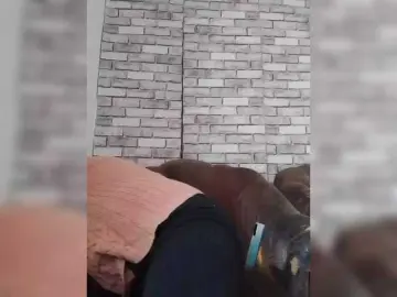 CerdAyaz  live sex cam